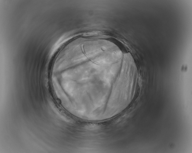 X0000113140198200910021447