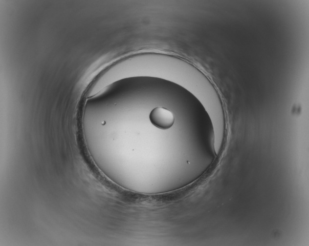 X0000113140199200910021447