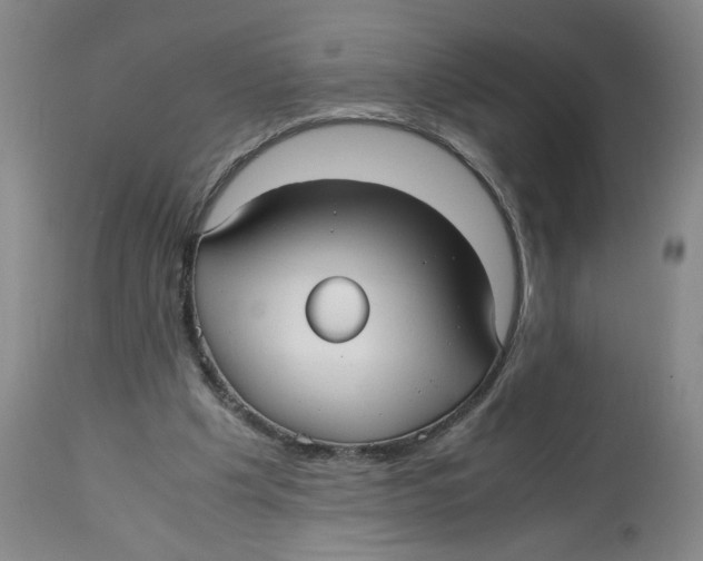 X0000113140201200910021447