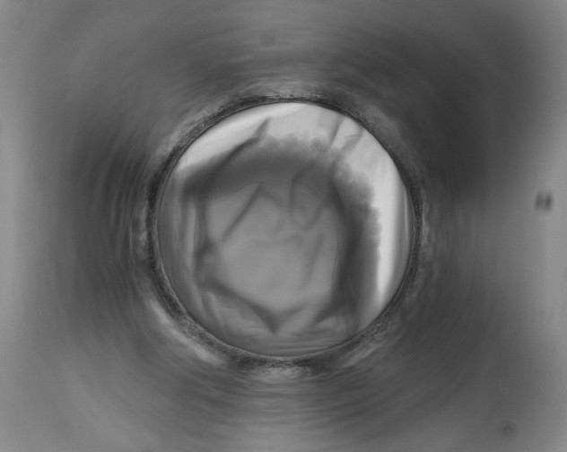 X0000113140202200910021447