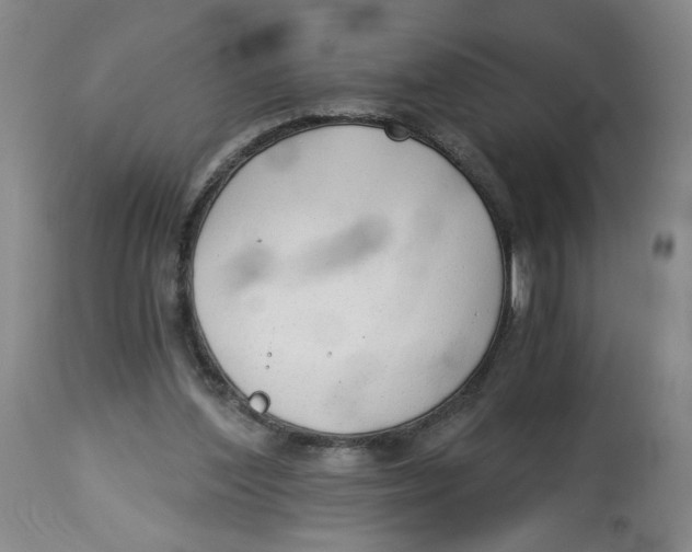 X0000113140204200910021447