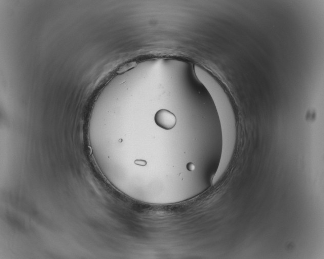 X0000113140205200910021447