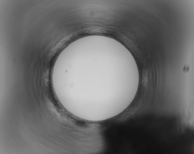 X0000113140206200910021447