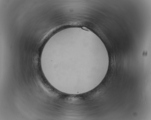 X0000113140208200910021447