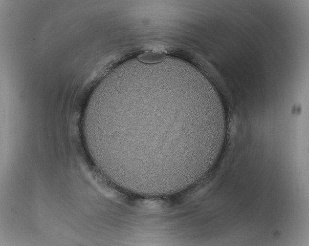 X0000113140209200910021447