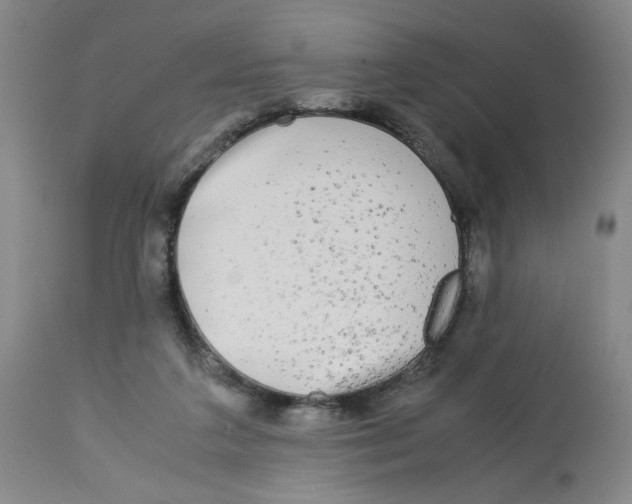 X0000113140211200910021447
