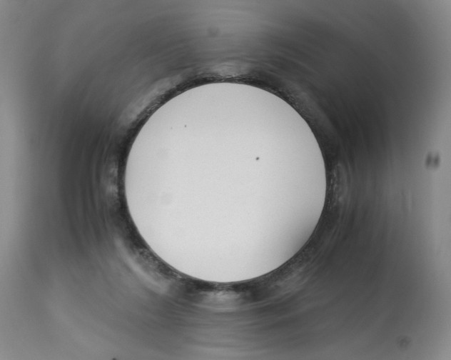 X0000113140212200910021447