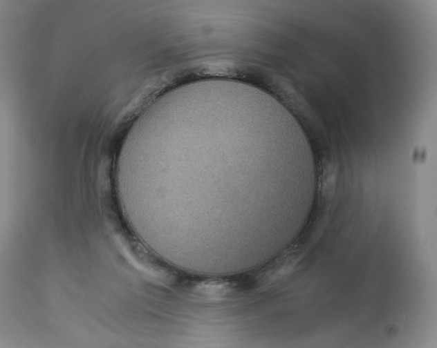 X0000113140213200910021447