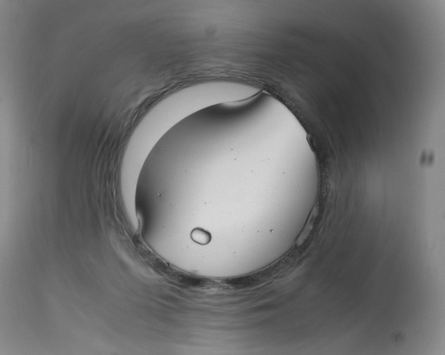 X0000113140215200910021447