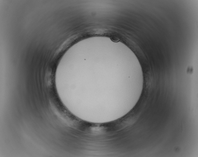 X0000113140216200910021447