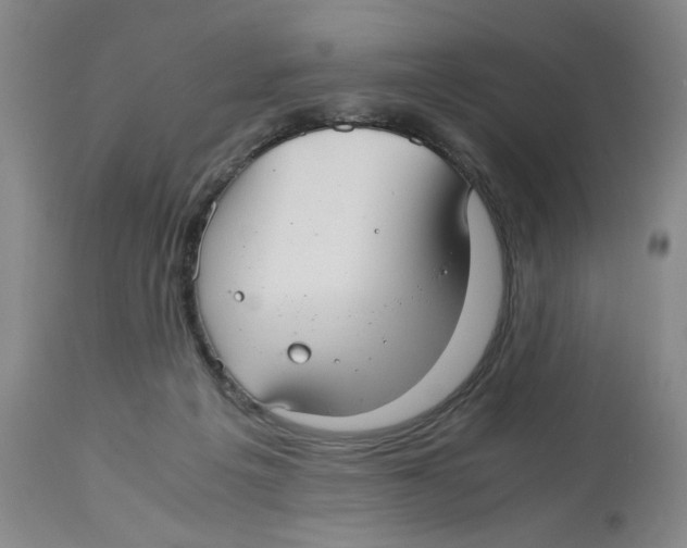 X0000113140217200910021447