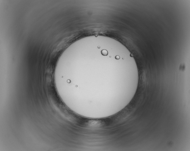 X0000113140218200910021447