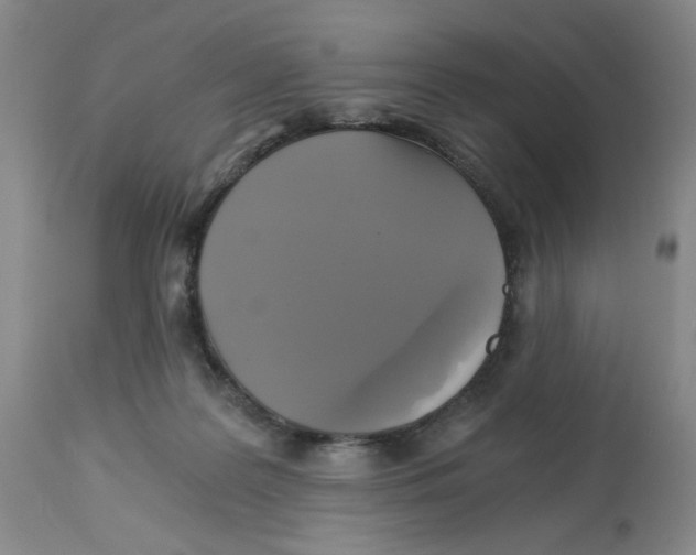 X0000113140219200910021447