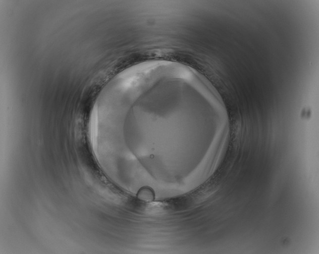 X0000113140222200910021447
