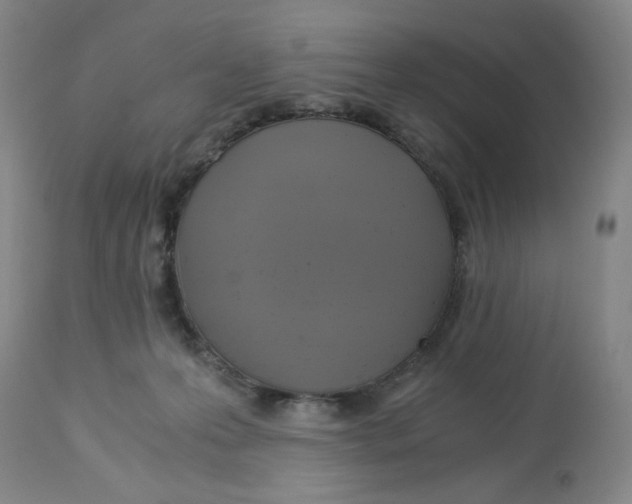 X0000113140223200910021447