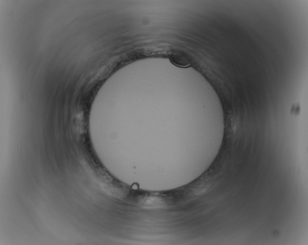 X0000113140224200910021447