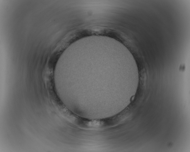 X0000113140225200910021447