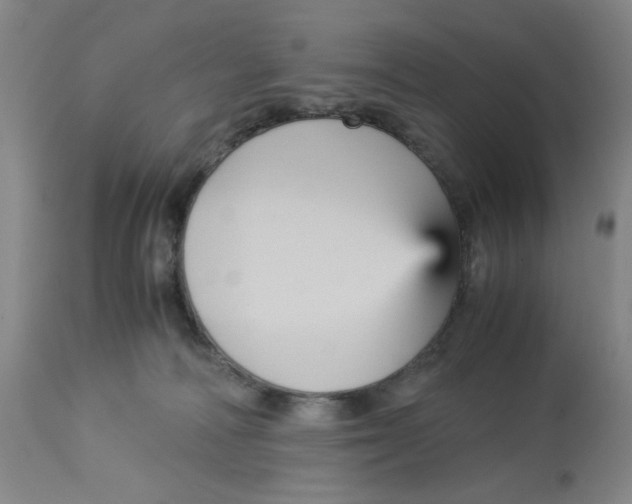 X0000113140226200910021447