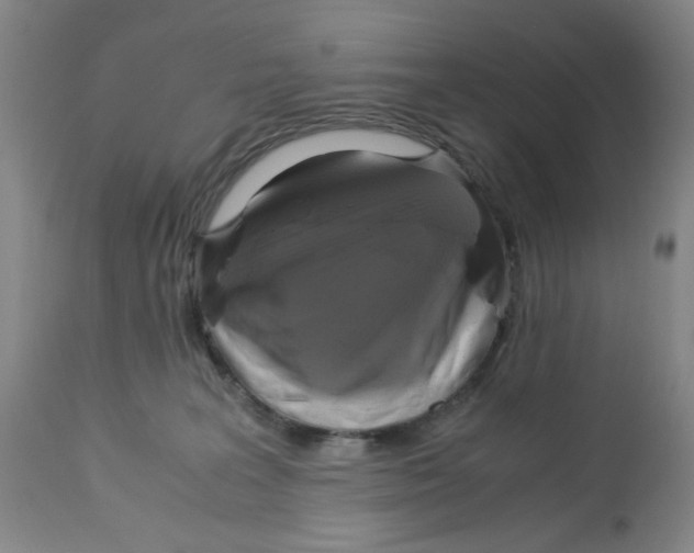 X0000113140227200910021447