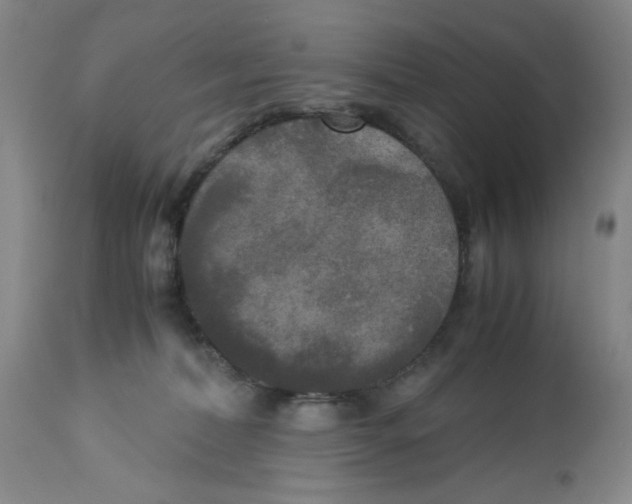 X0000113140228200910021447