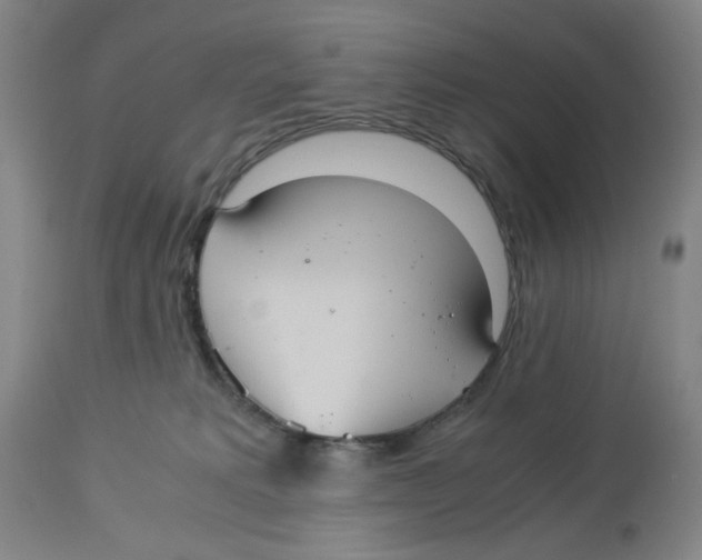 X0000113140229200910021447