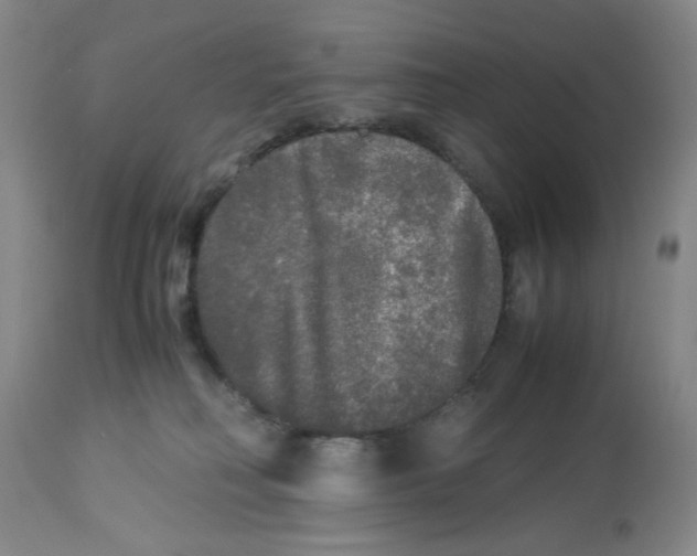 X0000113140230200910021447