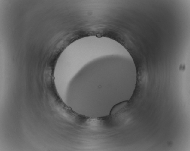 X0000113140231200910021447
