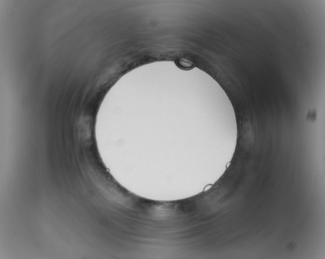 X0000113140232200910021447