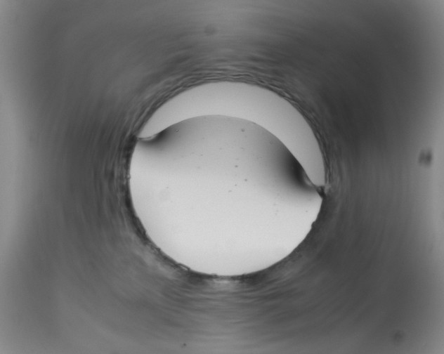 X0000113140233200910021447