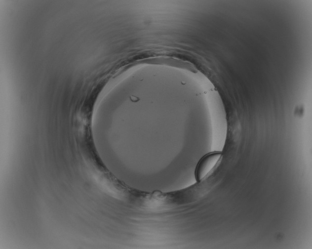 X0000113140235200910021447