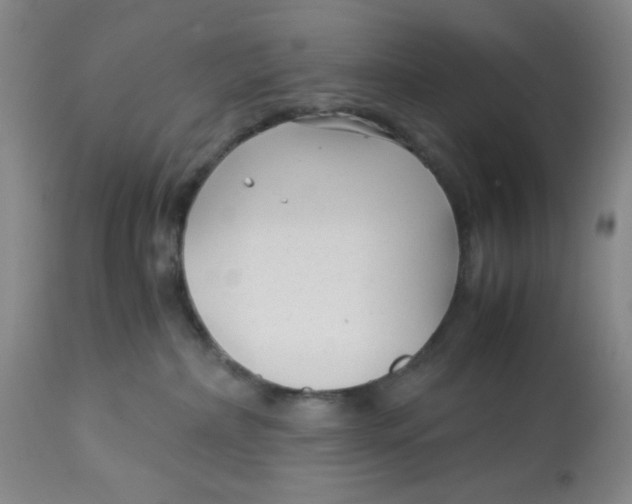 X0000113140236200910021447
