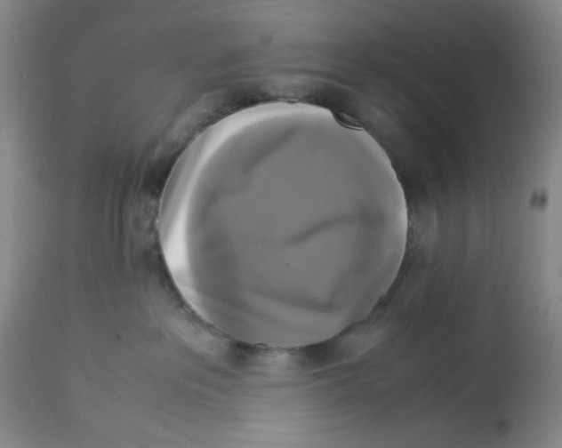 X0000113140237200910021447