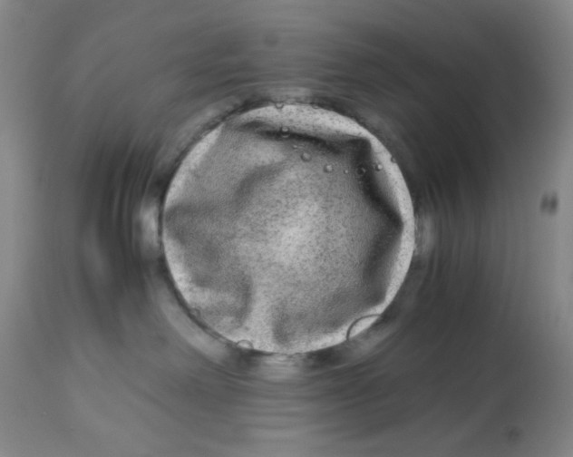 X0000113140238200910021447