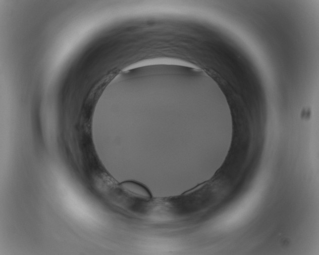 X0000113140239200910021447