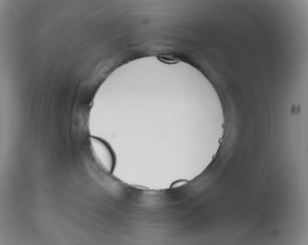 X0000113140240200910021447