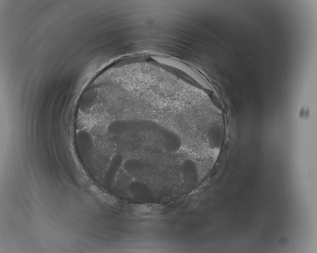 X0000113140241200910021446