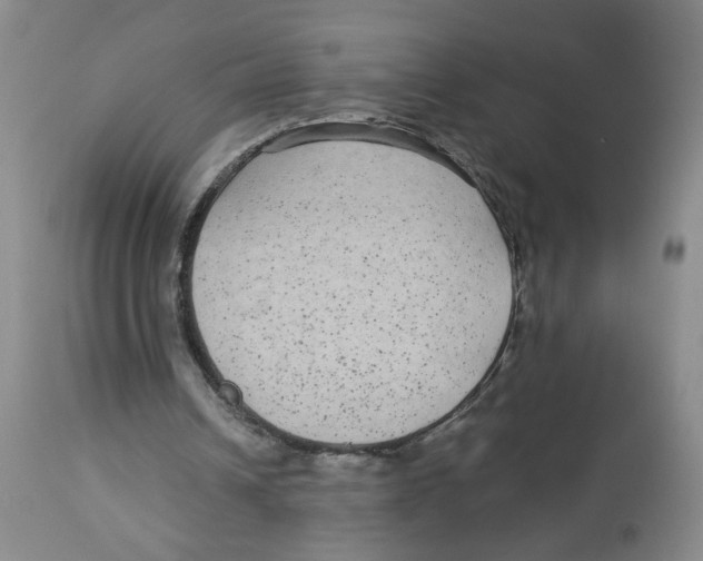 X0000113140242200910021446