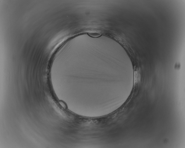 X0000113140243200910021446