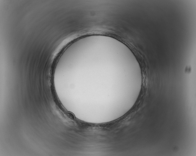 X0000113140244200910021446