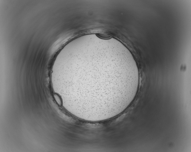 X0000113140245200910021446