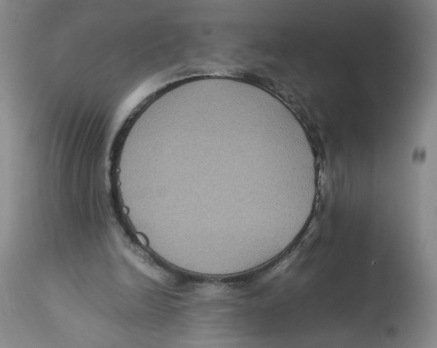 X0000113140246200910021446