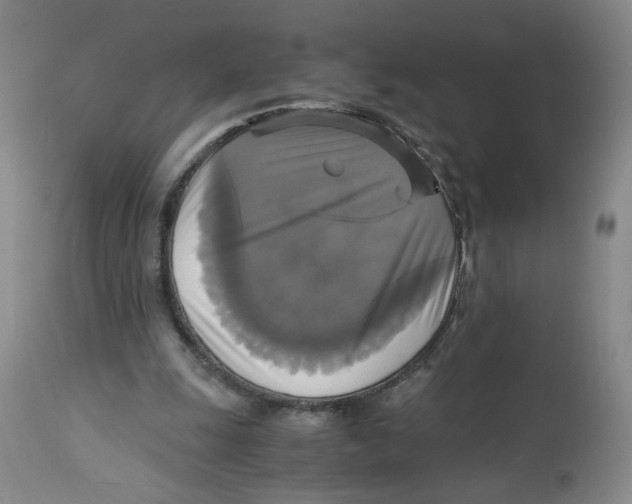 X0000113140247200910021446