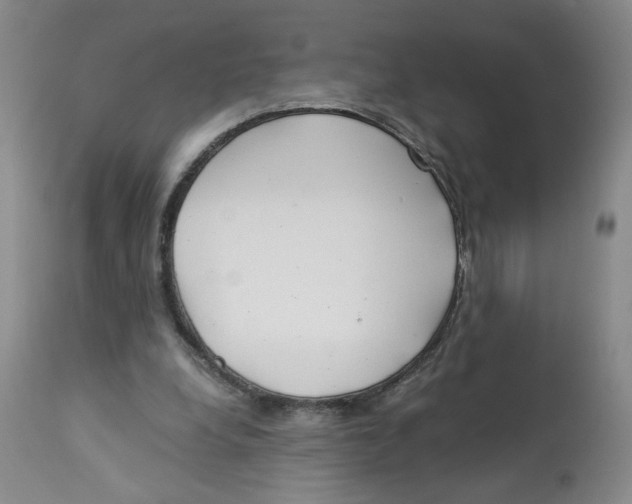 X0000113140248200910021446