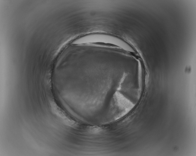 X0000113140249200910021446