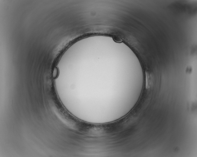 X0000113140252200910021446