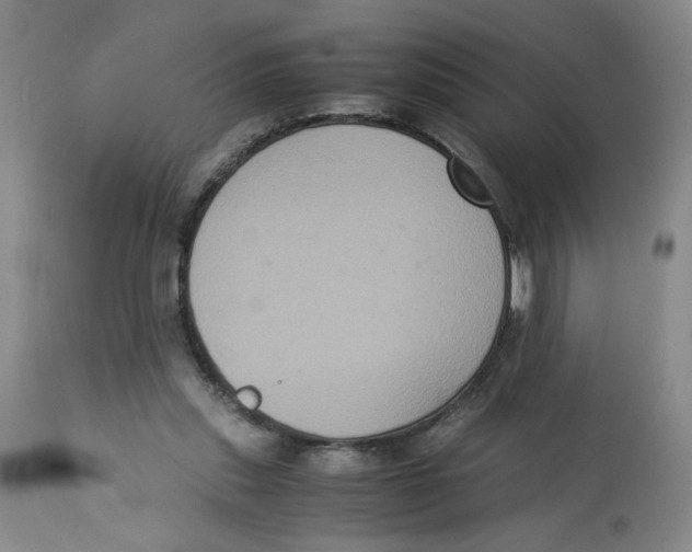 X0000113140253200910021446