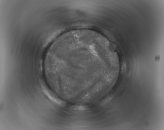 X0000113140254200910021446