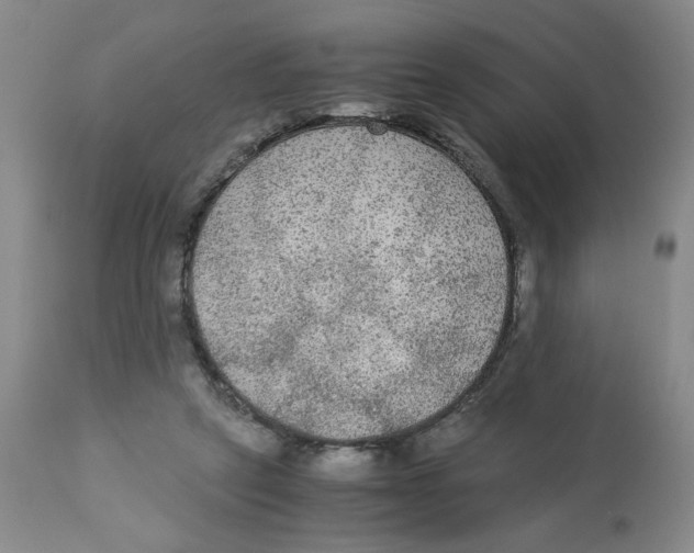 X0000113140257200910021446