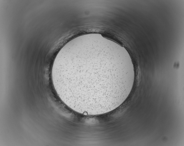 X0000113140258200910021446