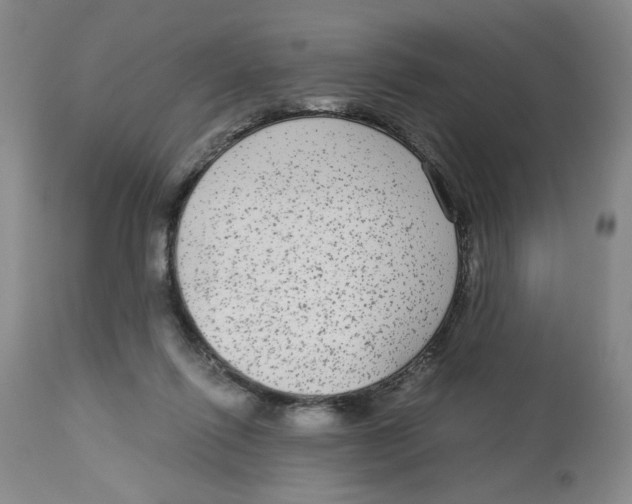 X0000113140262200910021446